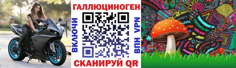Галлюциногенные грибы Magic Shrooms  Ясный 